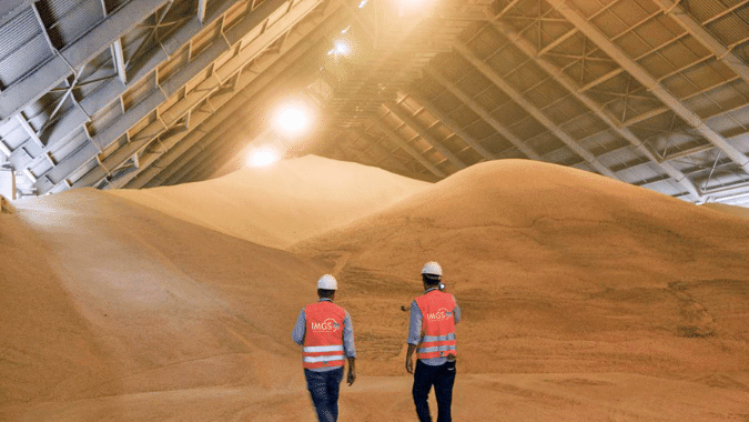 IMGS Group Bulk Warehouse Storage of Wheat