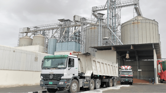 IMGS Group Special Cargo Logistics