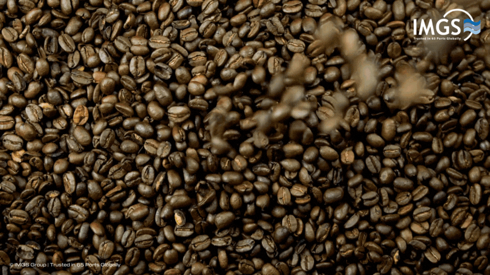 IMGS Group Coffee Bagging