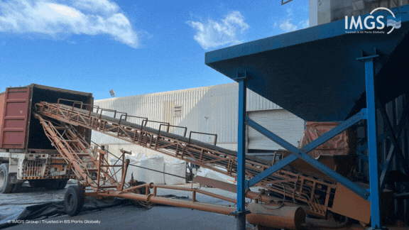 IMGS Group Bulk Container Liner